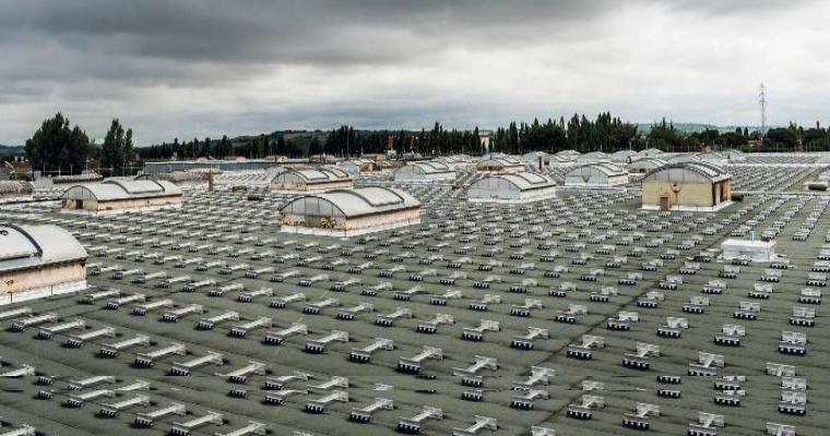 33000m2.png 33000m2.png