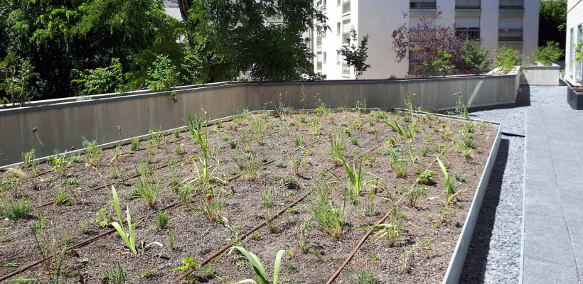 LQ6552874C_picture_0_cropped.png 150 m² de jardin ornent les terrasses du 1er étage.