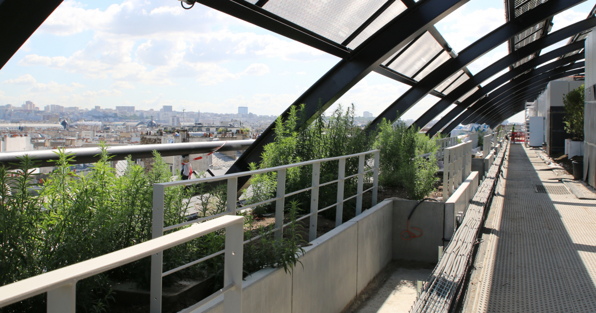 LQ8228444C_picture_0_cropped.jpg De l’extérieur vers l’intérieur, la toiture-terrasse du bâtiment est agrémentée de jardinières en périphérie, d’une ceinture circulable en platelage bois et du jardin arboré côté cours.