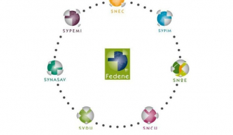La FEDENE regroupe 500 entreprises. 