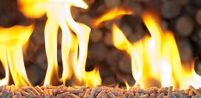 Quel rôle pour le granulé de bois dans la planification écologique ?