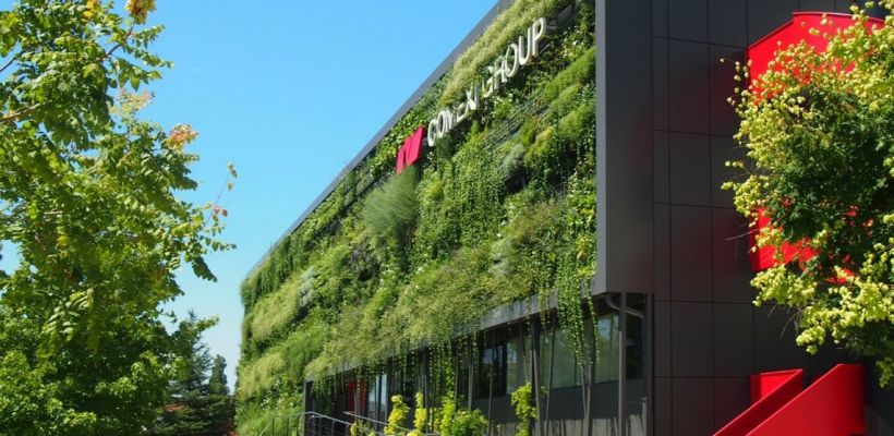 La réussite d'une façade végétalisée tient à la réalisation rigoureuse de l'entretien.