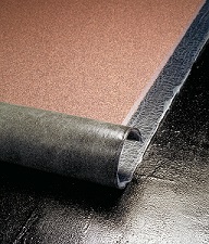 Prod3.Image2.Derbicolor.jpg